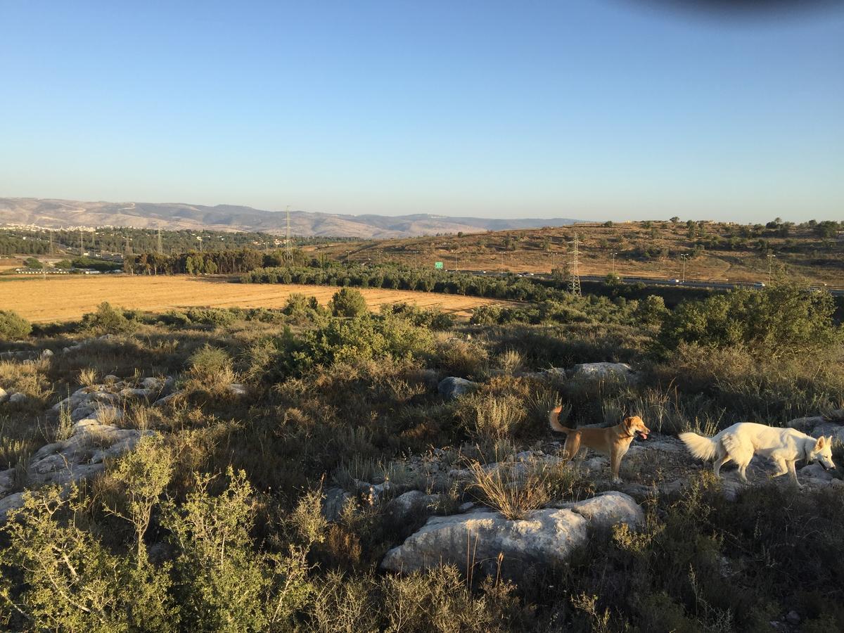 Вілла Peace Tent Kfar Rut Екстер'єр фото
