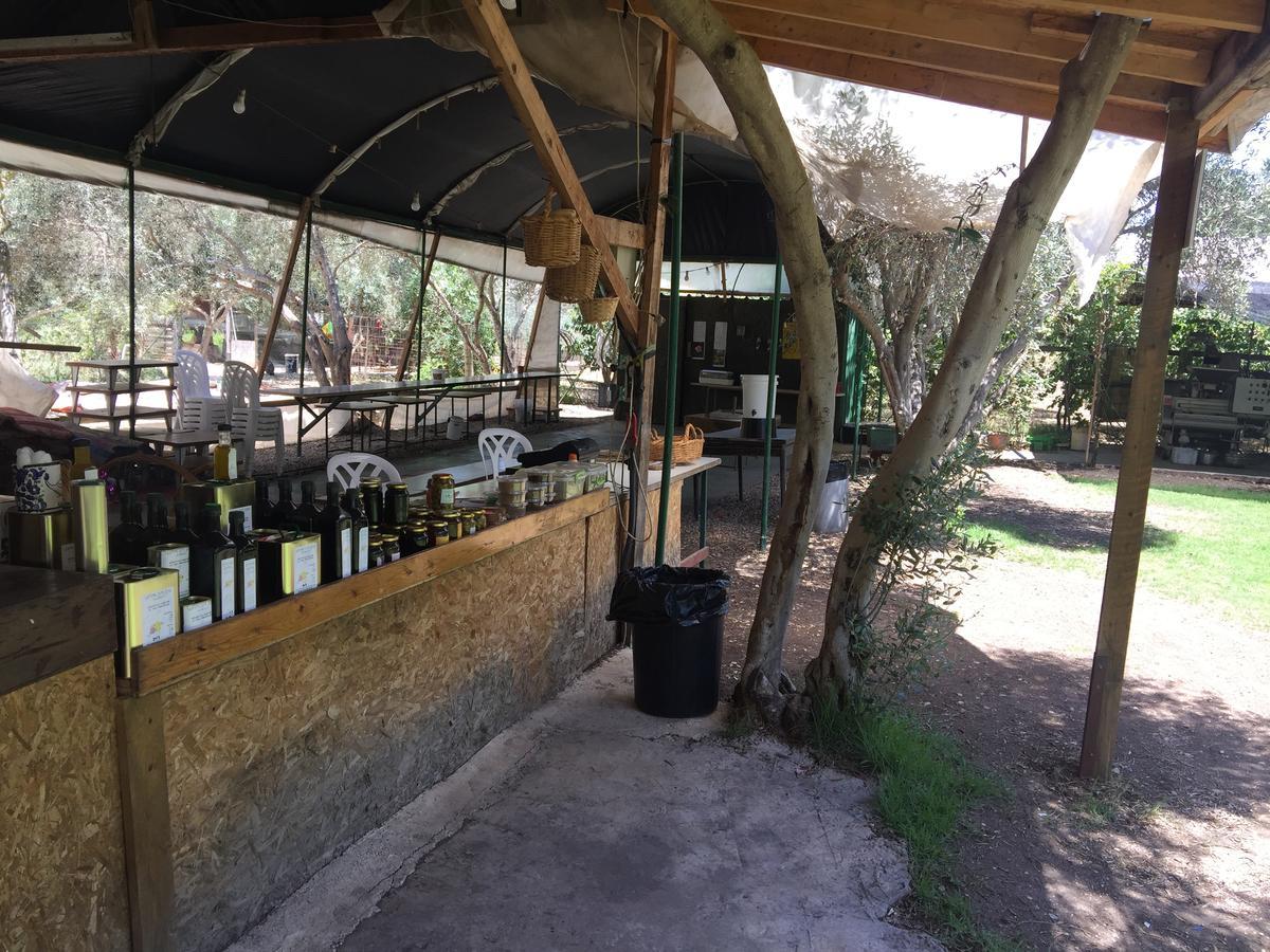 Вілла Peace Tent Kfar Rut Екстер'єр фото