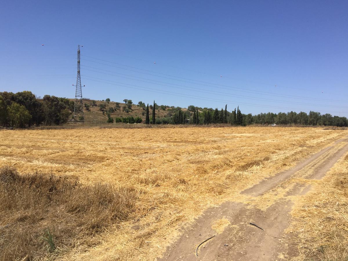 Вілла Peace Tent Kfar Rut Екстер'єр фото